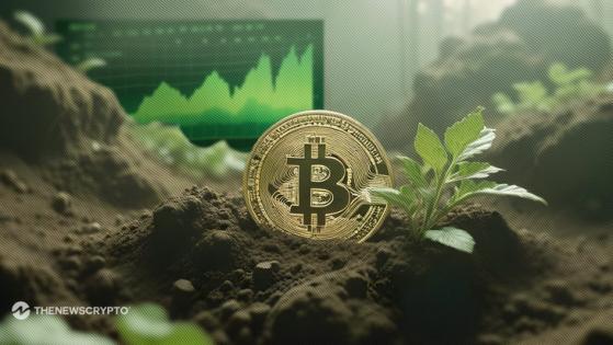 Will Bitcoin Price Recover to the $60K Level After Recent Dip?